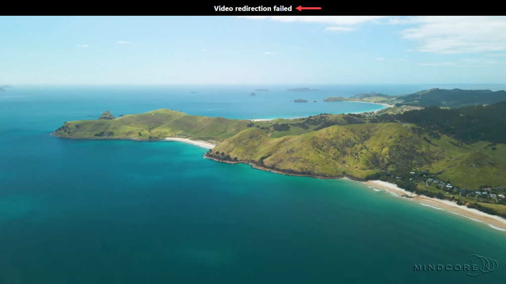 Windows 365 - Video redirection failed.